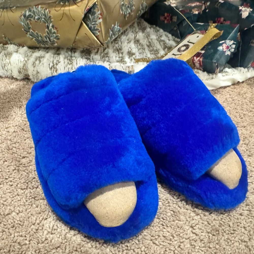 Ugg Slides - image 1